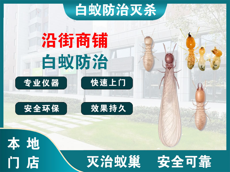 温州市沿街商铺白蚁防治