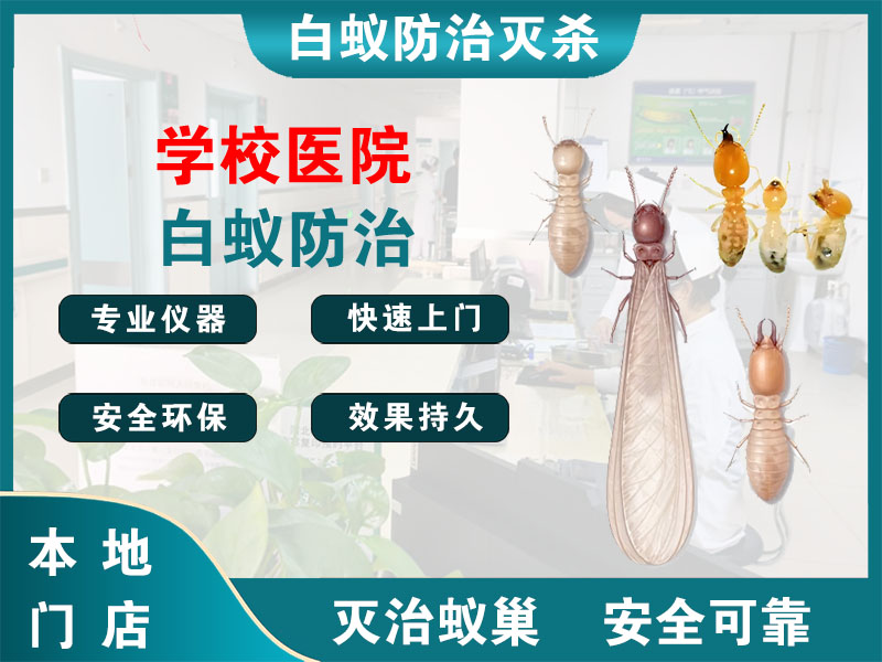 温州市学校医院白蚁防治