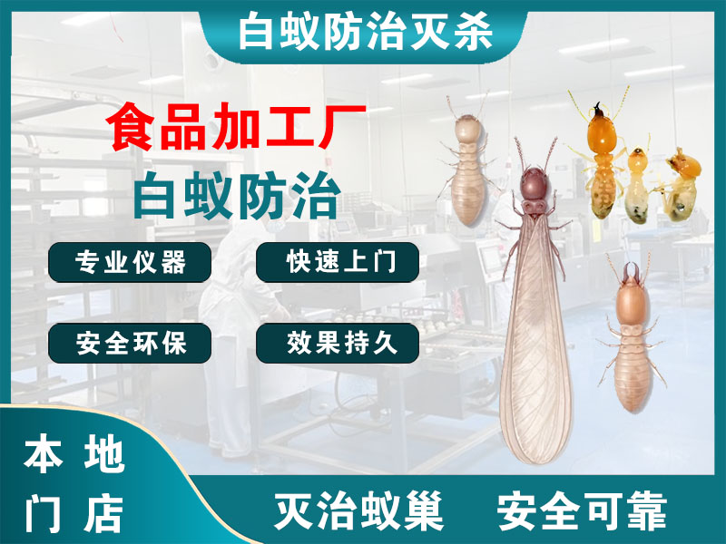 温州市食品加工厂白蚁防治