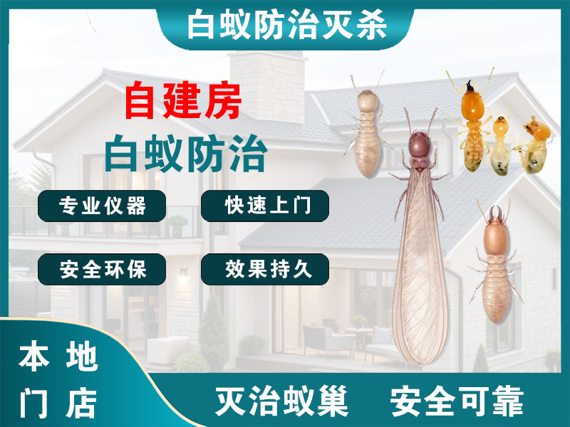 温州市自建房白蚁防治