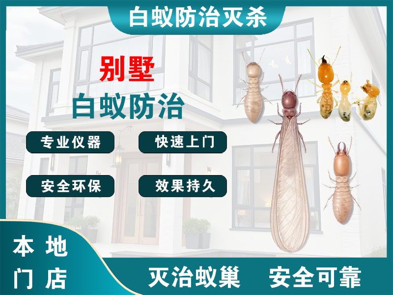 温州市别墅白蚁防治