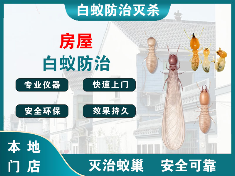 温州市房屋白蚁防治